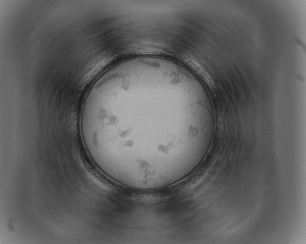 X0000090980533200708241405