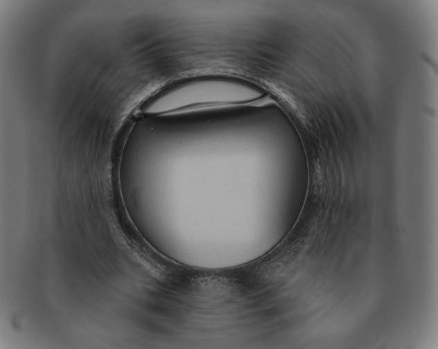 X0000090980535200708241405