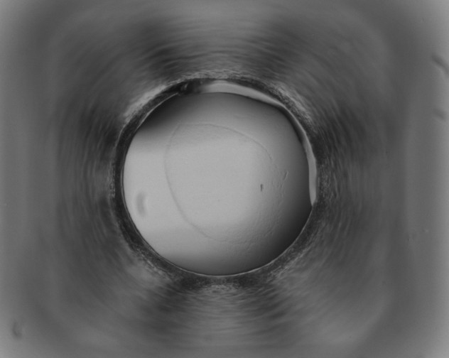 X0000090980536200708241405