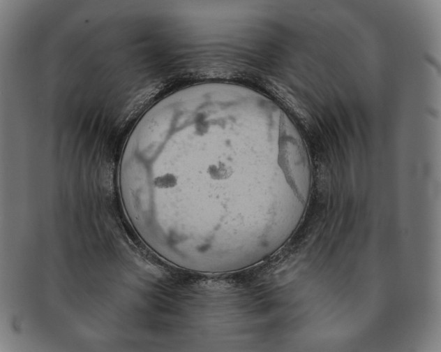 X0000090980537200708241405