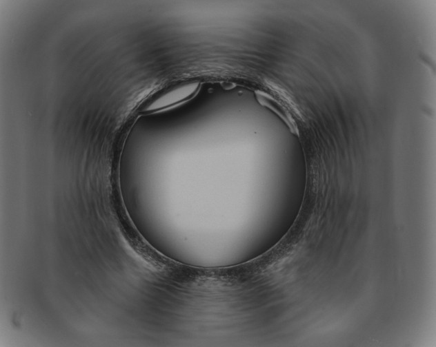 X0000090980538200708241405