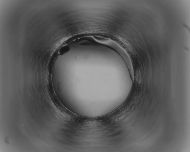 X0000090980540200708241405