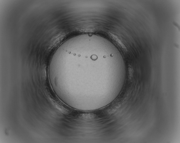 X0000090980541200708241405