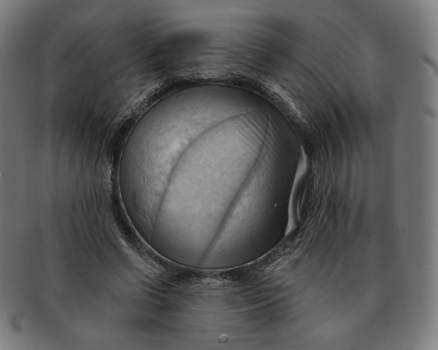 X0000090980542200708241405