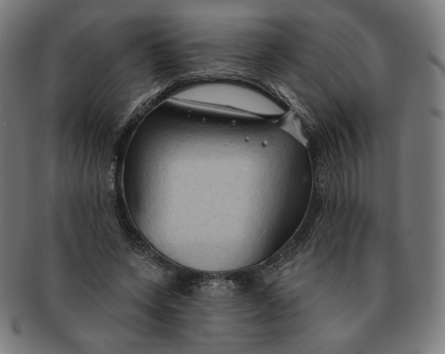 X0000090980543200708241405