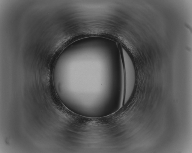 X0000090980544200708241405