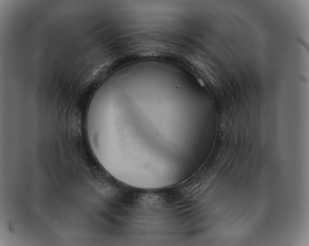 X0000090980547200708241405