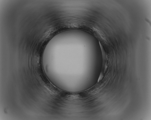 X0000090980548200708241405