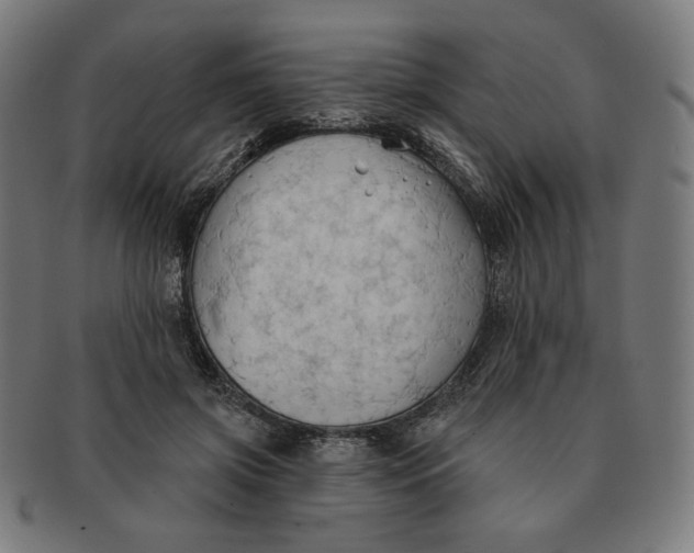 X0000090980549200708241405