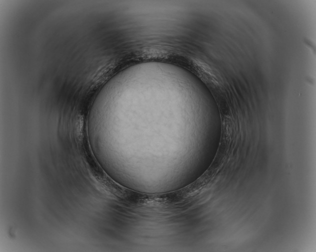 X0000090980550200708241405