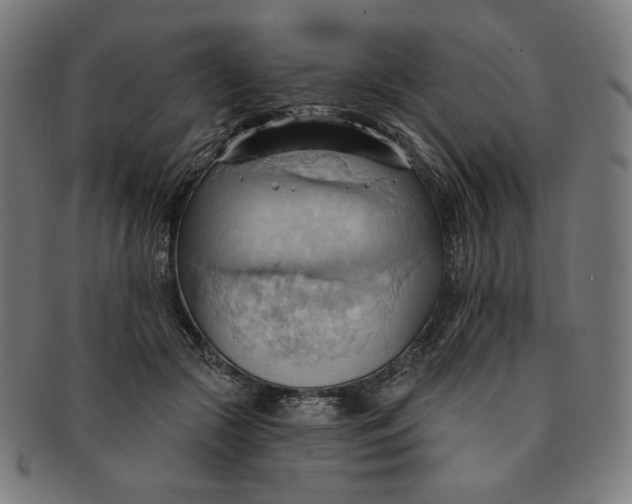 X0000090980553200708241406
