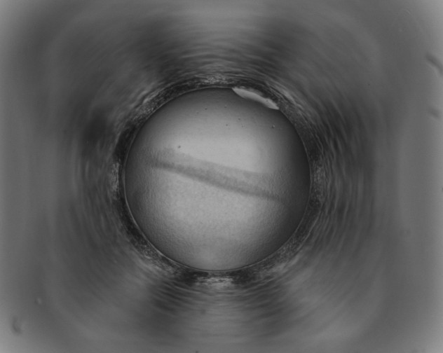 X0000090980554200708241406