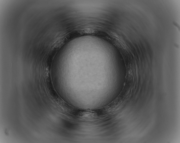 X0000090980555200708241406