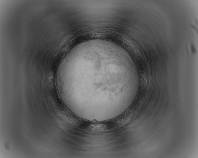 X0000090980557200708241406
