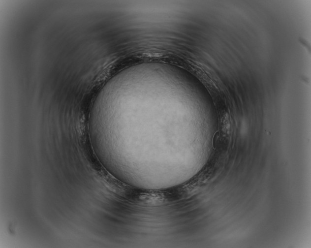 X0000090980559200708241406