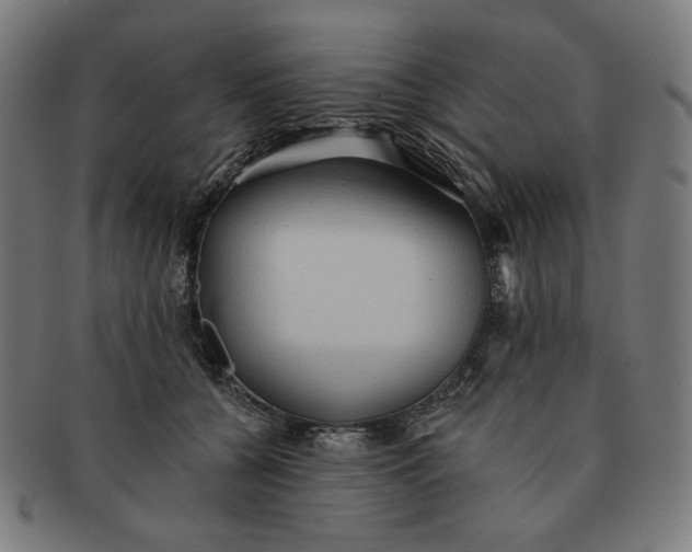 X0000090980560200708241406