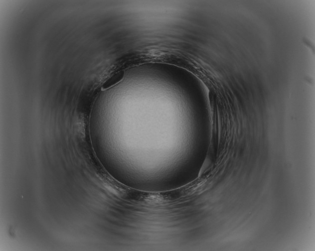 X0000090980562200708241406