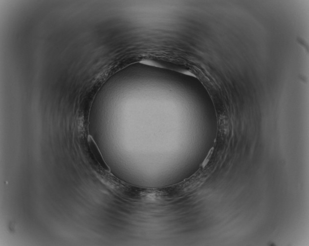 X0000090980564200708241406