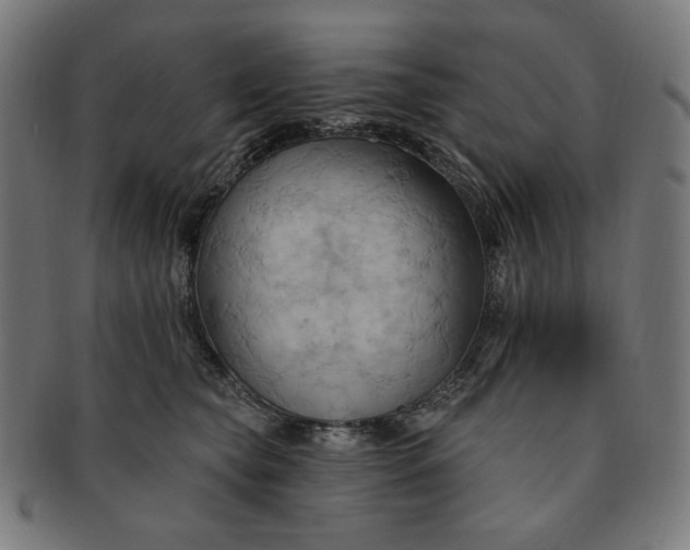 X0000090980565200708241406