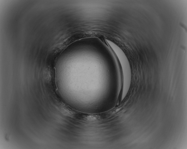 X0000090980566200708241406