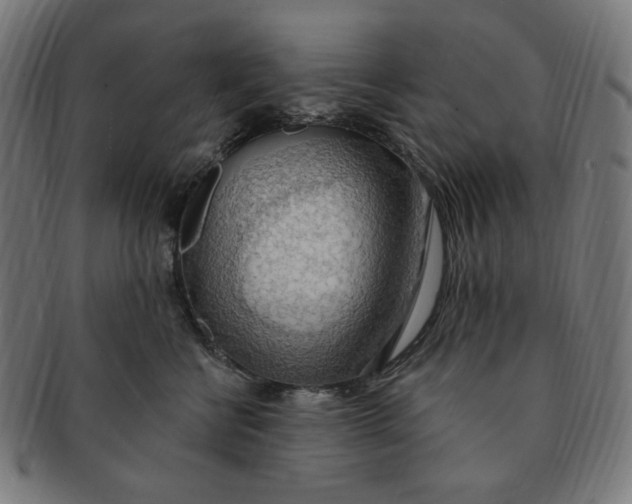 X0000090980570200708241406