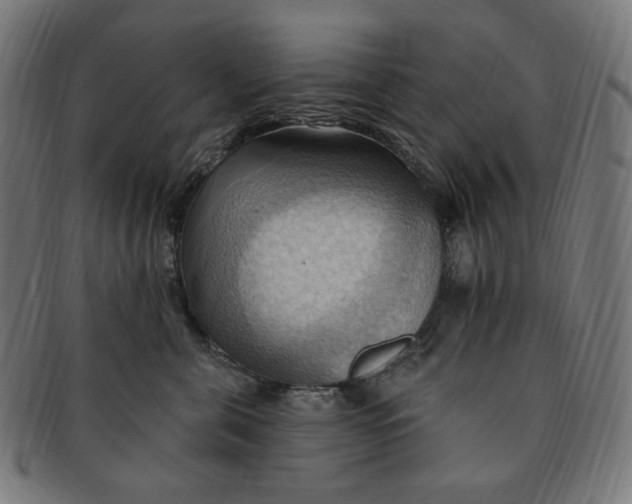 X0000090980571200708241406