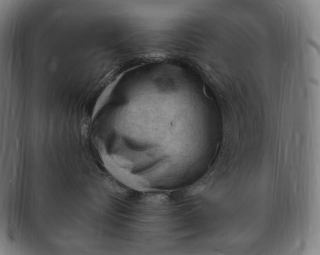 X0000090980576200708241406