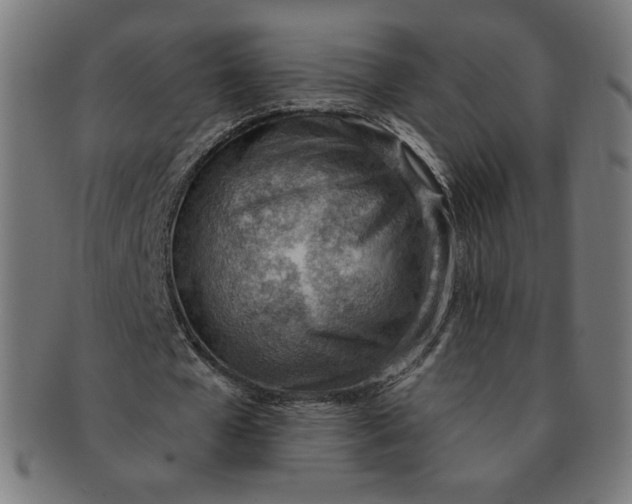 X0000090980577200708241405