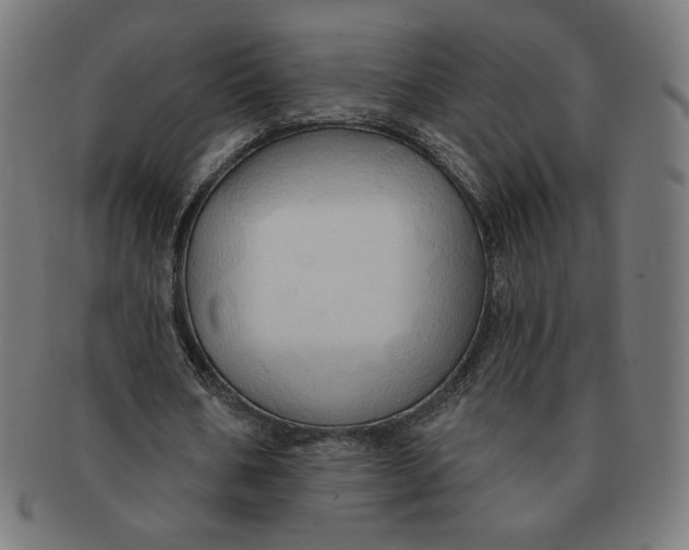 X0000090980578200708241405