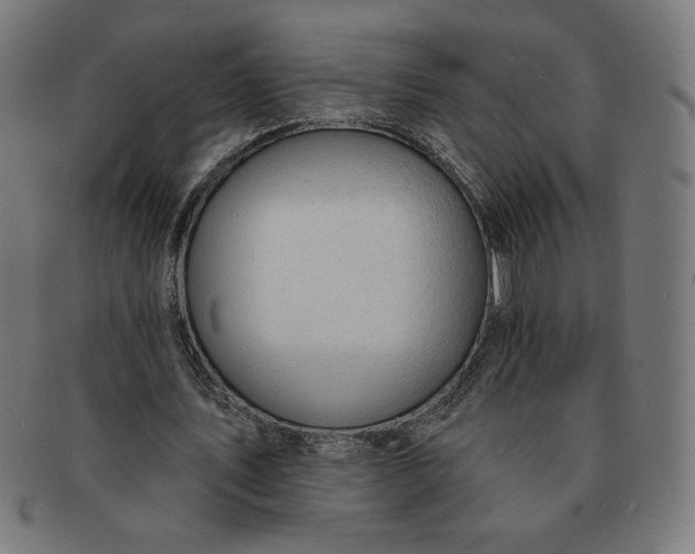 X0000090980579200708241405