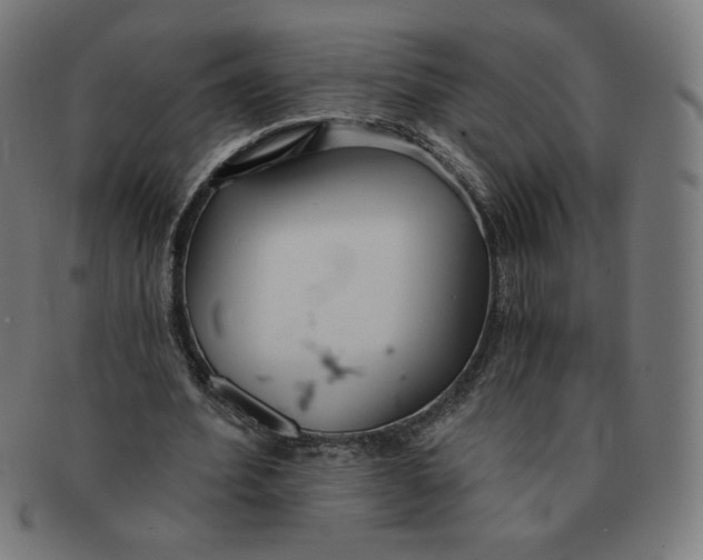 X0000090980580200708241405