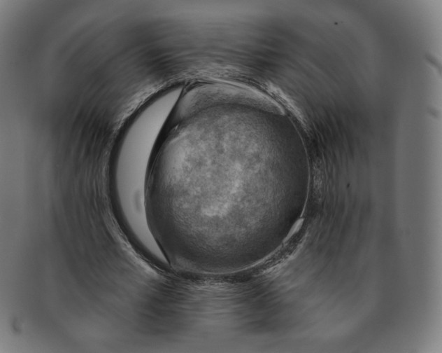 X0000090980581200708241405