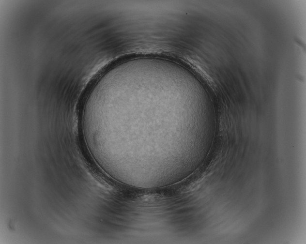 X0000090980584200708241405