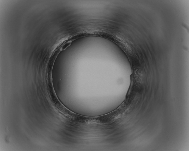 X0000090980587200708241405
