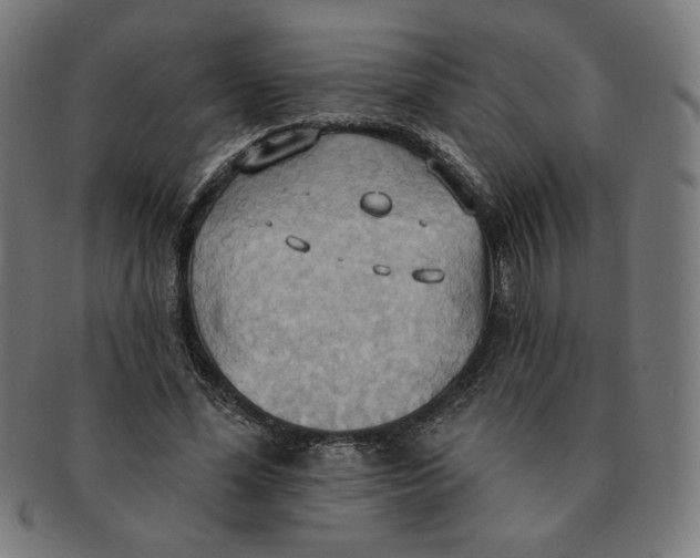 X0000090980588200708241405