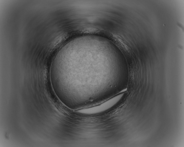 X0000090980591200708241405