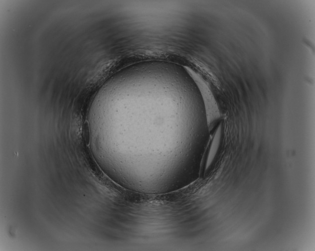 X0000090980593200708241405