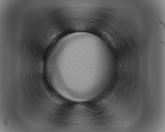 X0000090980596200708241405