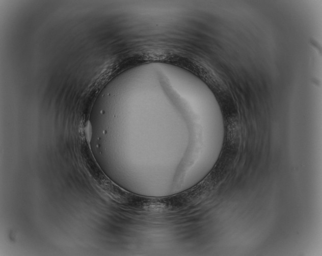 X0000090980598200708241405