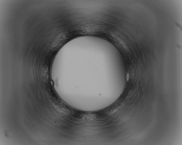 X0000090980599200708241405