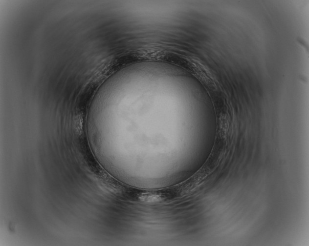 X0000090980602200708241405