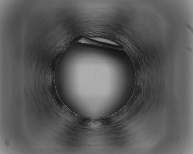 X0000090980604200708241405