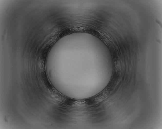 X0000090980606200708241405
