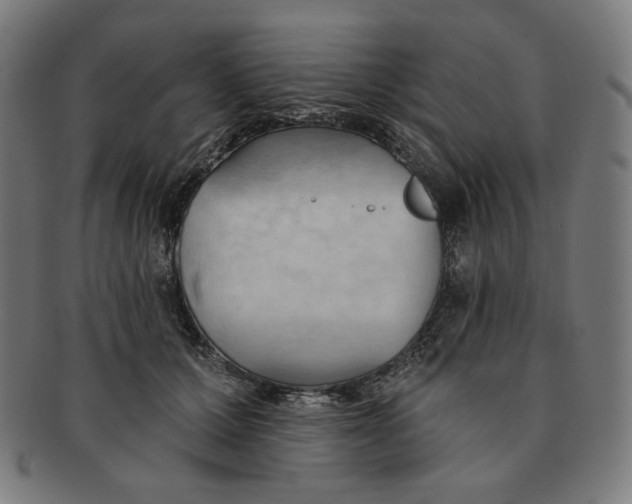 X0000090980607200708241405