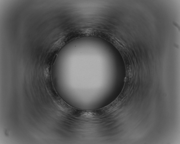 X0000090980611200708241405
