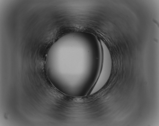 X0000090980613200708241405