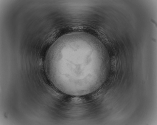 X0000090980614200708241405