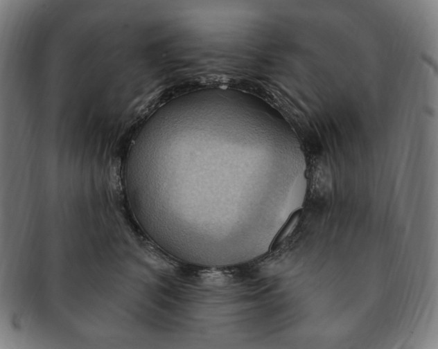 X0000090980616200708241404