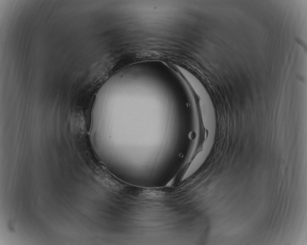 X0000090980617200708241404