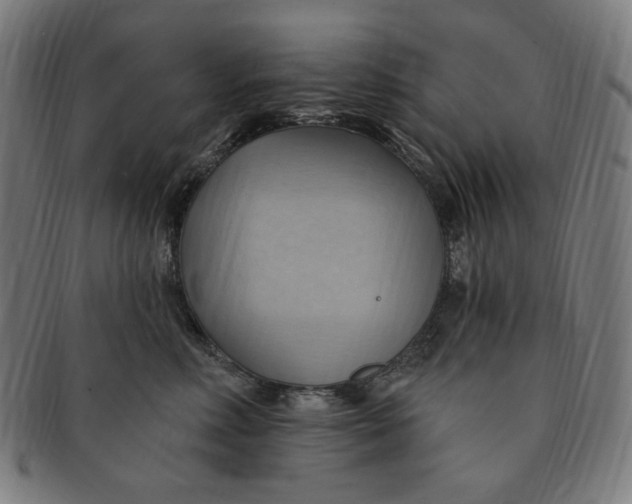 X0000090980618200708241404